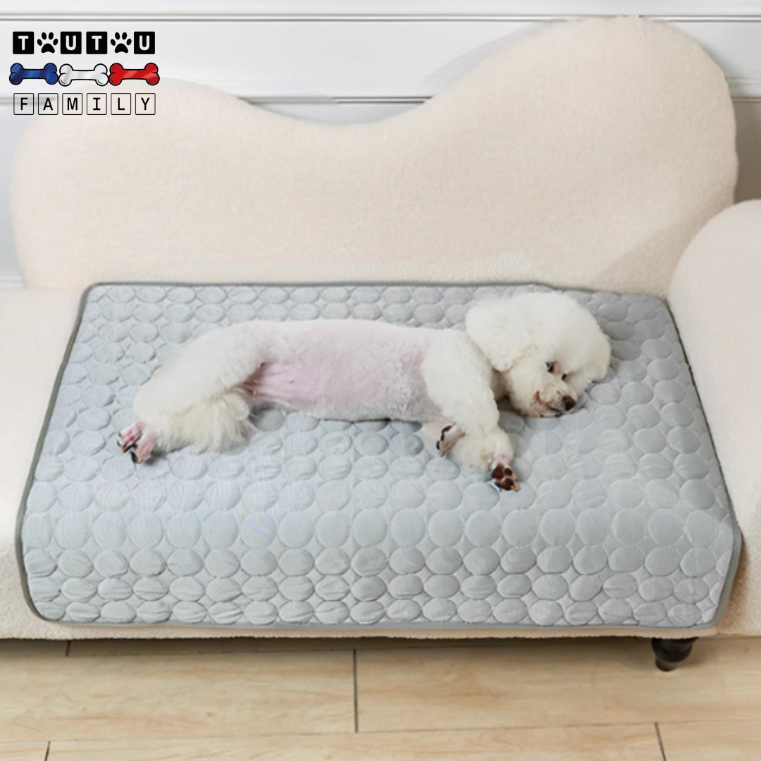 Tapis rafraichissant chien - FroidToutou™