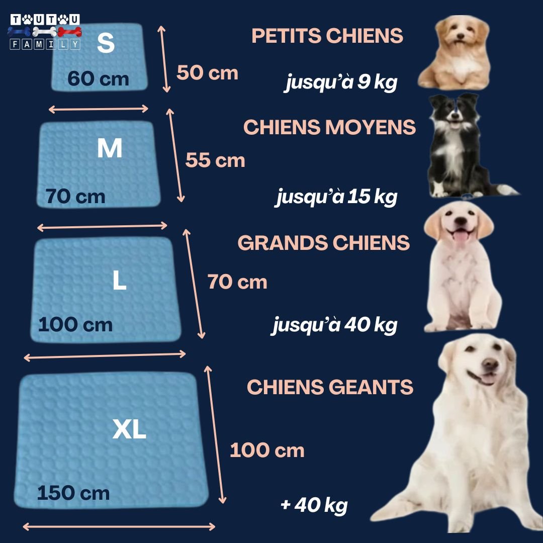 Tapis-rafraichissant-chien-guide-des-tailles-pour-tout-les-chiens