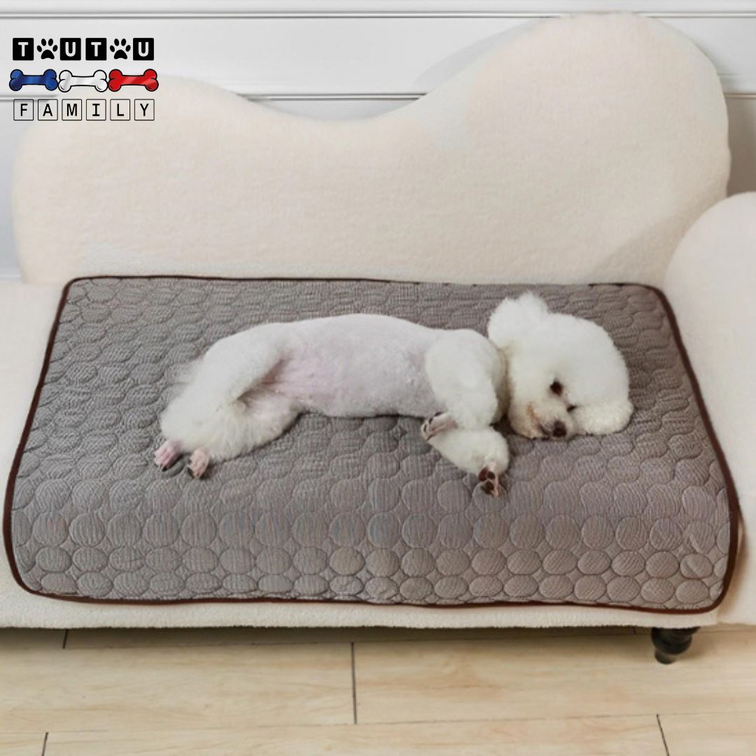 Tapis rafraichissant chien - FroidToutou™
