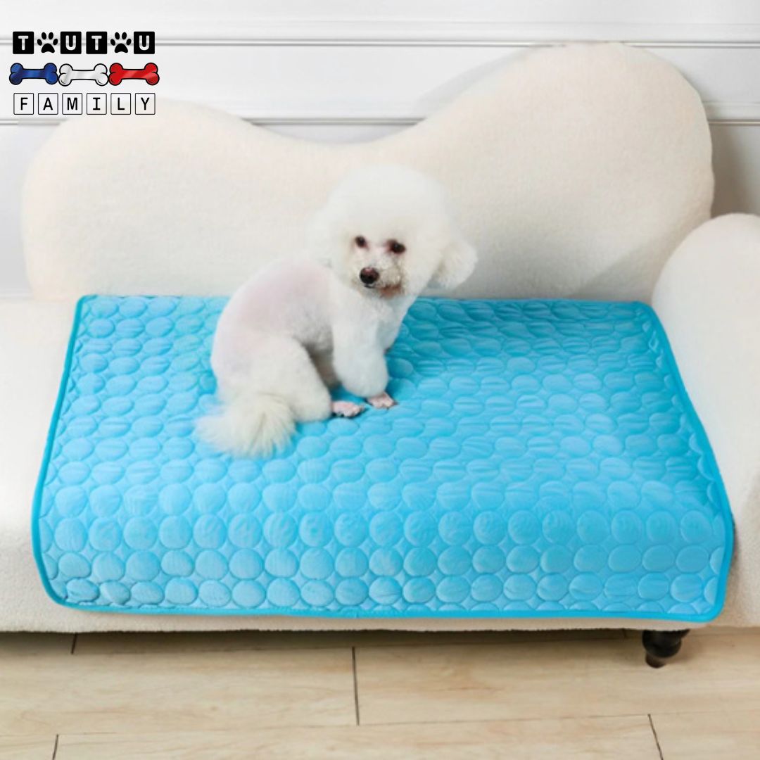 tapis-rafraichissant-chien-frigo-protège-ses-chaleurs-idéal-pour-aider-les-chiens-à-supporter-la-chaleur-de-l-été
