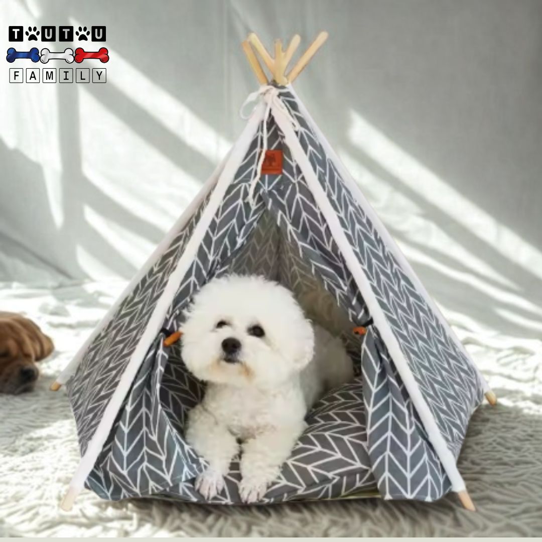 tipi-pour-chien-tente-petit-chien-un-bichon-couché-confortablement-sur-son-coussin-épais-avec-sa-toile-en-100%-coton-et-sa-toile-lavable-et-amovible-pliable-et-transportable-idéal-pour-les-petites-espaces