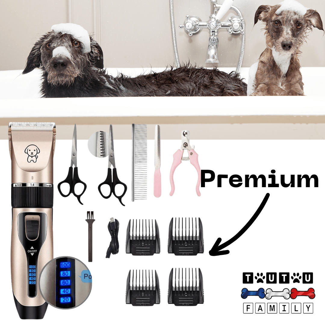 Tondeuse pour Chien - TonteToutou™