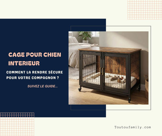 cage pour chien interieur, comment la rendre sécure, blog infos