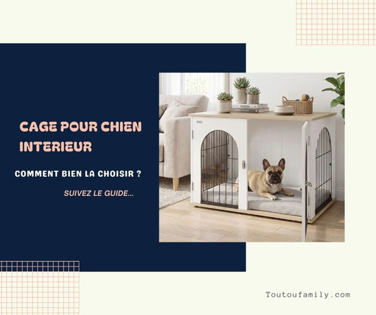Cage pour chien interieur - Guide complet pour bien choisir !