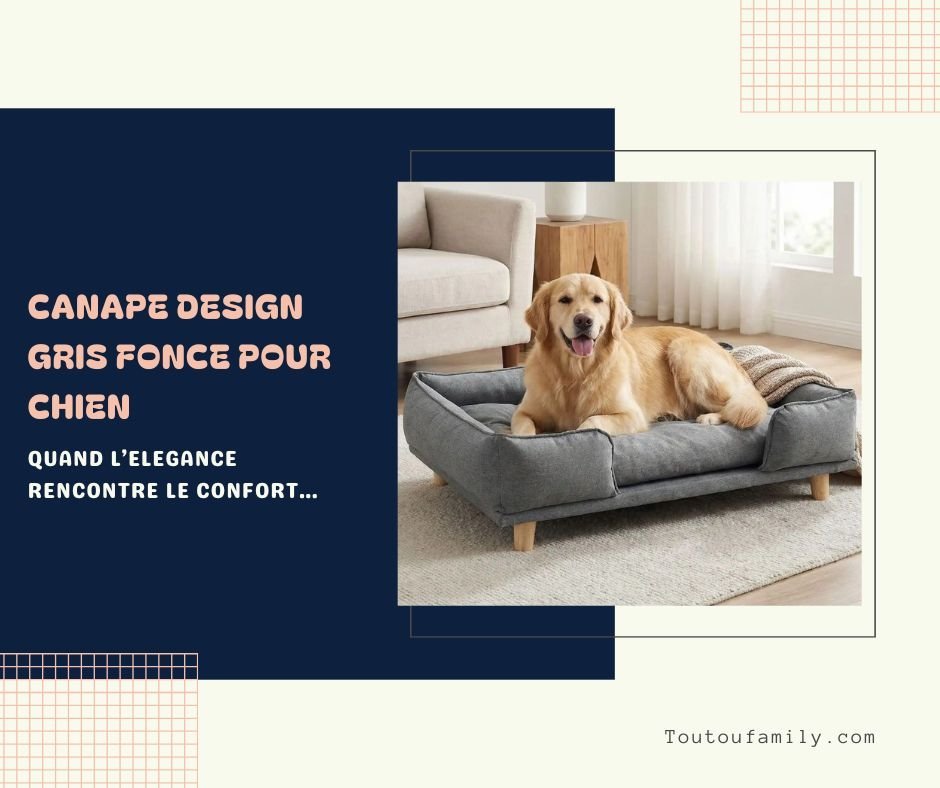 Canapé Gris Foncé pour Chien - Le Guide Complet 2026