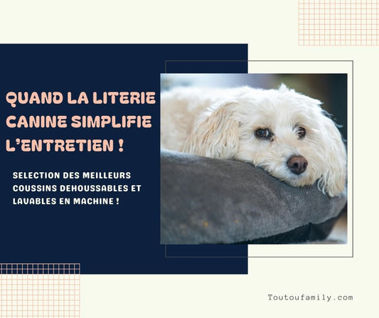 Pourquoi choisir un coussin déhoussable pour chien ?