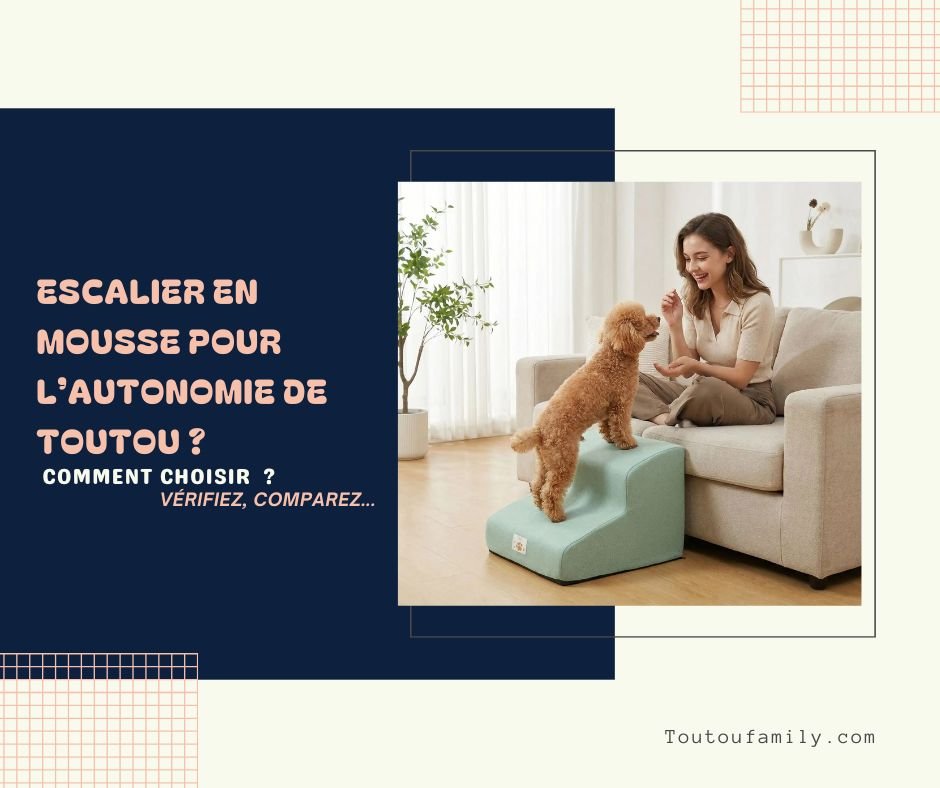 Escalier en Mousse pour Chien - Sélection meilleur Rapport Qualité-Prix !