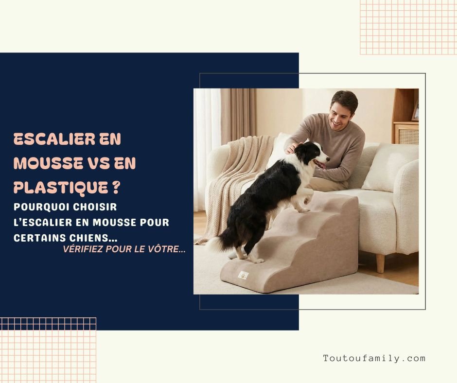 Escalier en Mousse pour Chien - Est-ce mieux que le plastique ?
