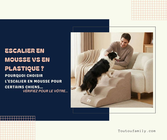 Escalier en Mousse pour Chien - Est-ce mieux que le plastique ?