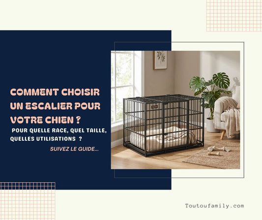 Escalier pour Chien - Le Guide Complet pour sa mobilité !