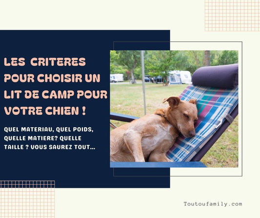 Comment choisir un lit de camp pour chien (poids, taille, matériaux) ?