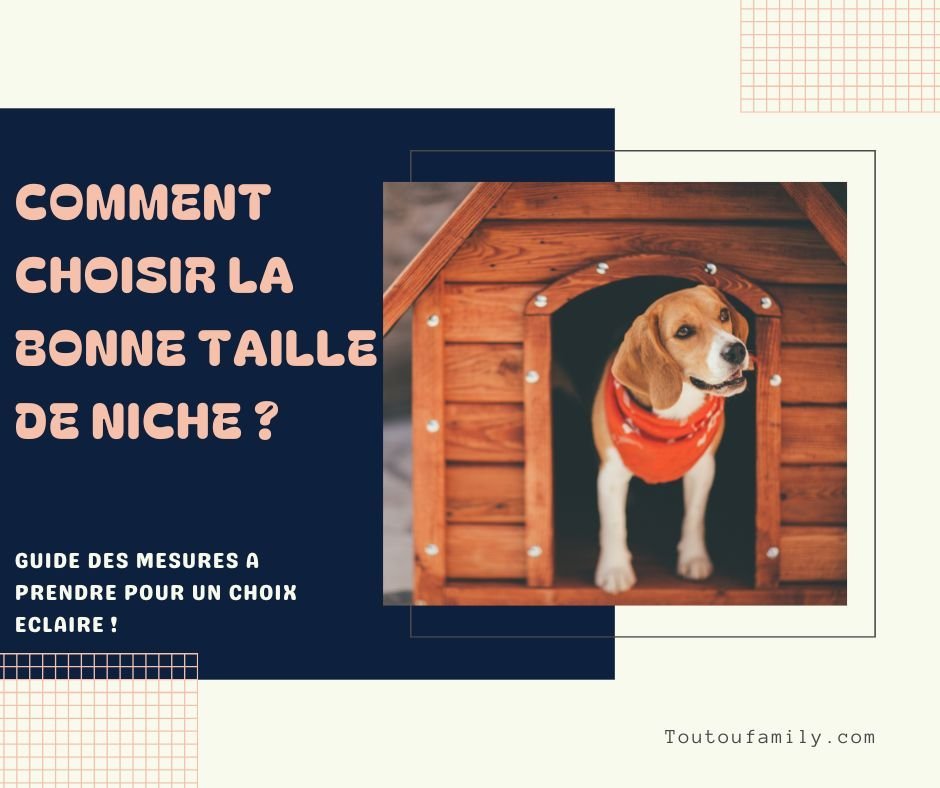 Comment choisir la taille de la niche pour son chien ?