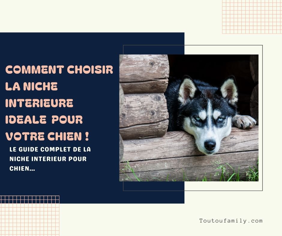 Quelle Niche d'Intérieur Choisir pour Son Chien ?