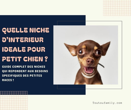 Niche d'intérieur pour petit chien : guide complet pour votre petit compagnon !