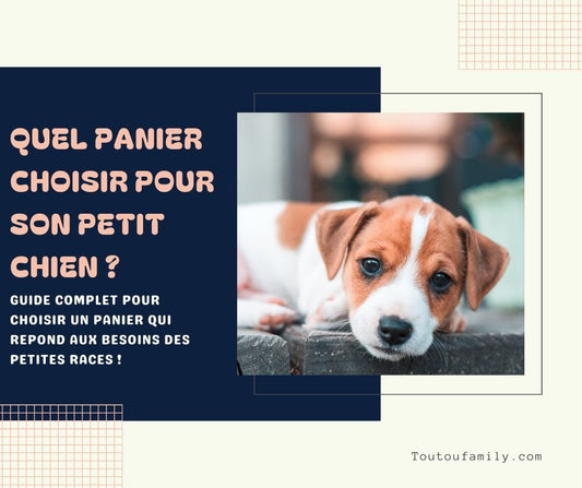 Quelle taille de panier convient aux petites races de chiens ?
