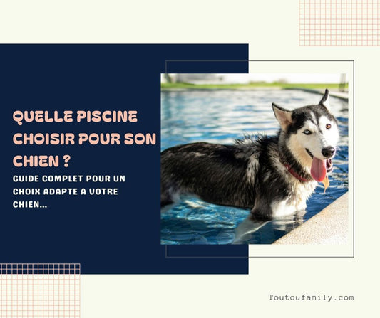 Piscine pour Chien - Le guide complet pour choisir la meilleure piscine pour votre chien !