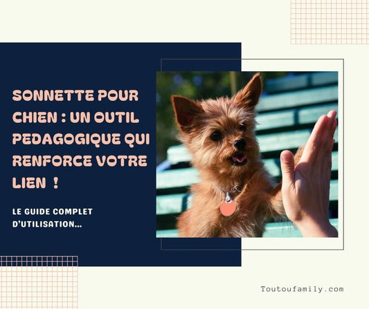 Sonnette pour chien - Le guide complet pour apprendre à l'utiliser efficacement !