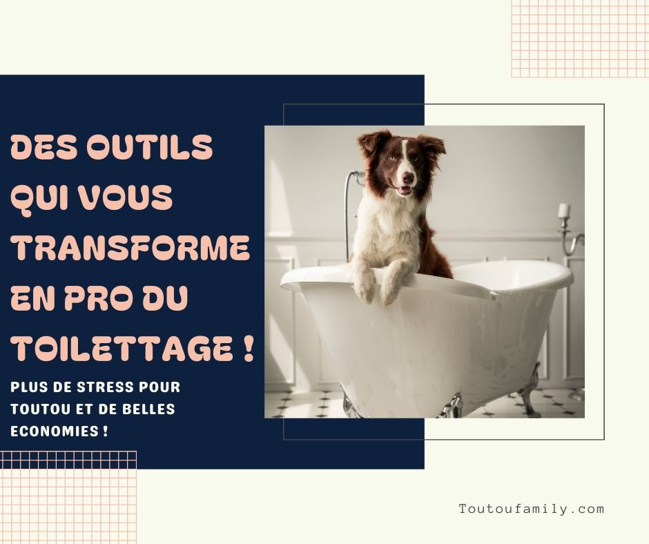 Accessoire pour le toilettage chien - Les meilleurs accessoires pour un chien toujours impeccable !