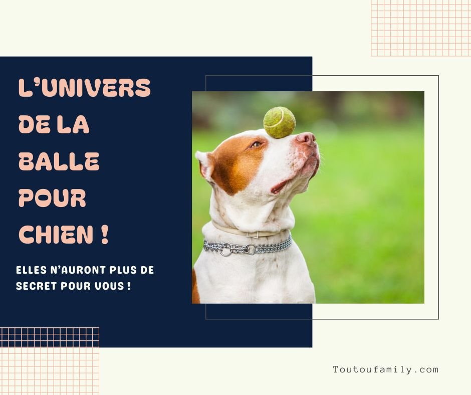Balle pour chien - Guide complet de la balle pour chien - Toutoufamily