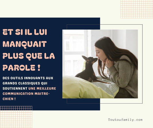 Bouton de communication- Le panel des différentes façons de communiquer efficacement et de renforcer votre lien ! - Toutoufamily