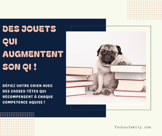 Jouet pour chien intelligent - Augmentez le QI de votre toutou - Toutoufamily