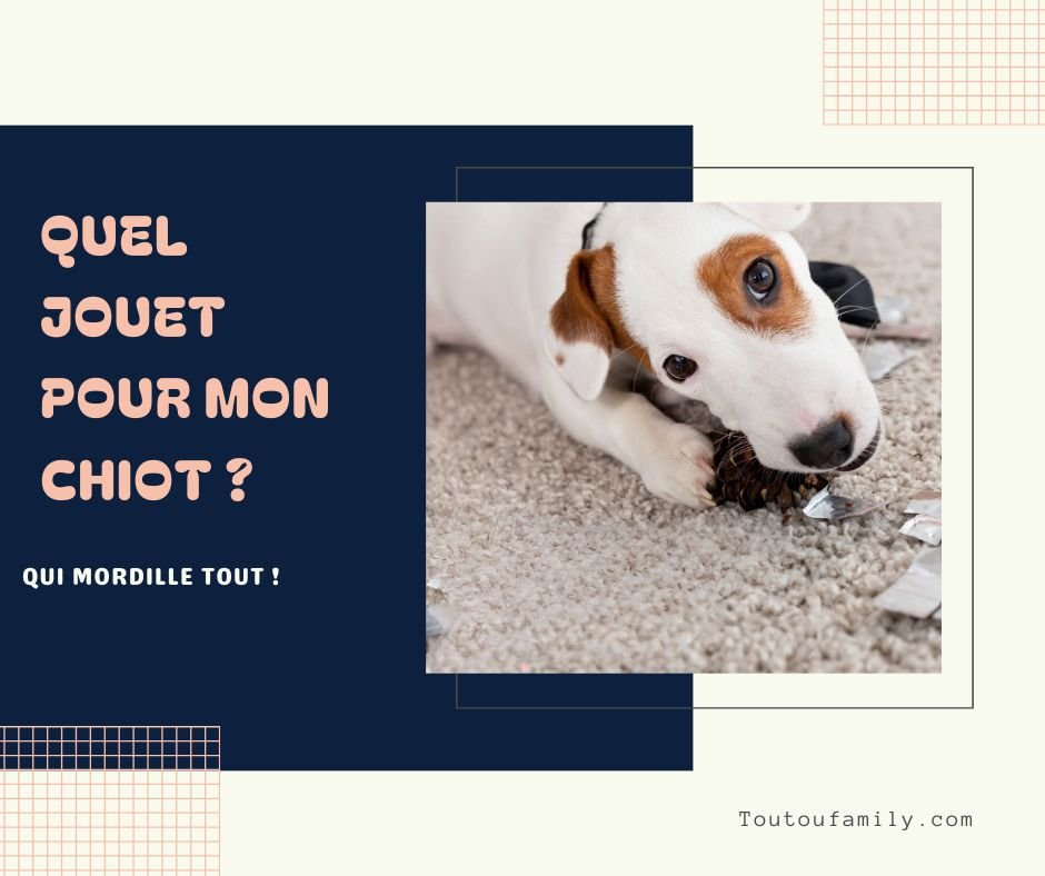 Jouets pour chiots - Le top 10 des jouets pour chiots - Toutoufamily