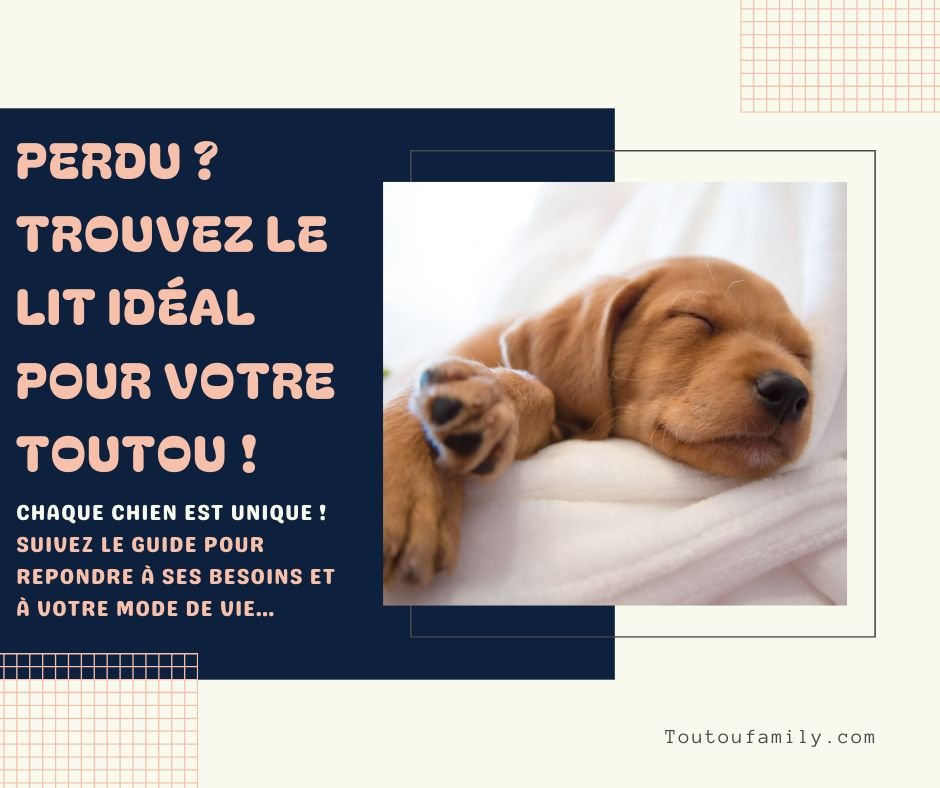 Lit pour chien - Guide complet pour choisir le meilleur couchage pour votre toutou - Toutoufamily