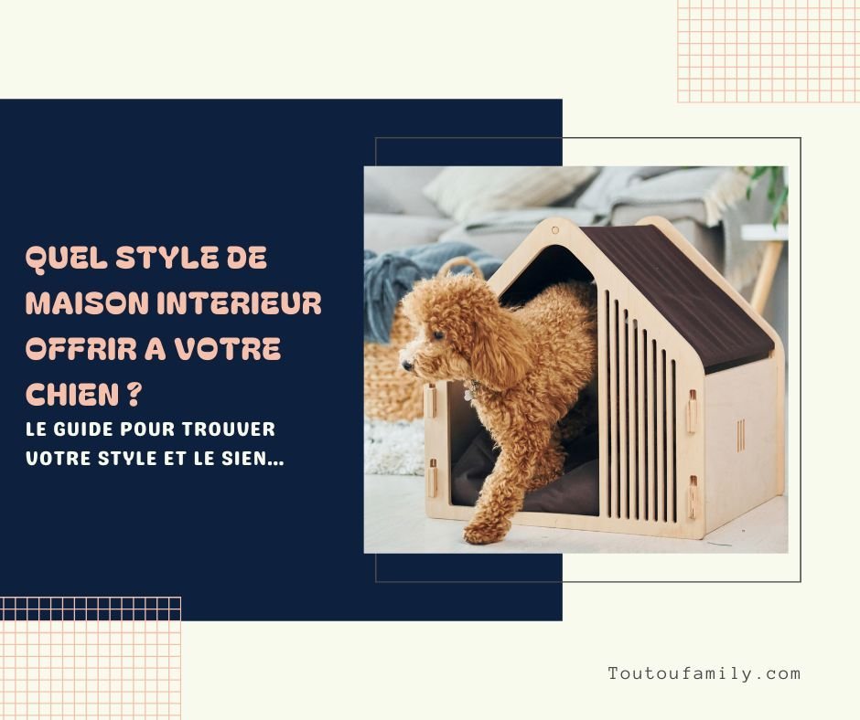 Maison pour Chien Intérieur - Pour tous les goûts et couleurs !