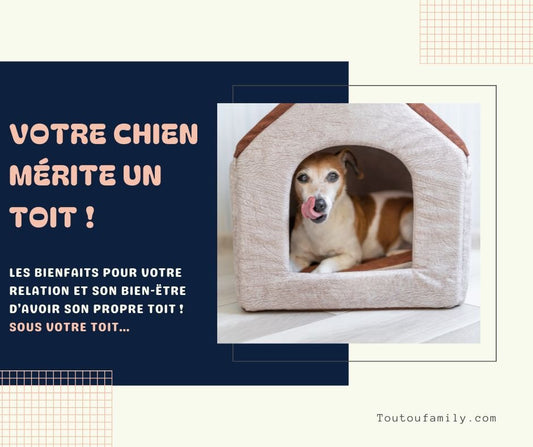 Niche chien intérieur - Pourquoi choisir une niche intérieur comme couchage pour votre chien ? - Toutoufamily
