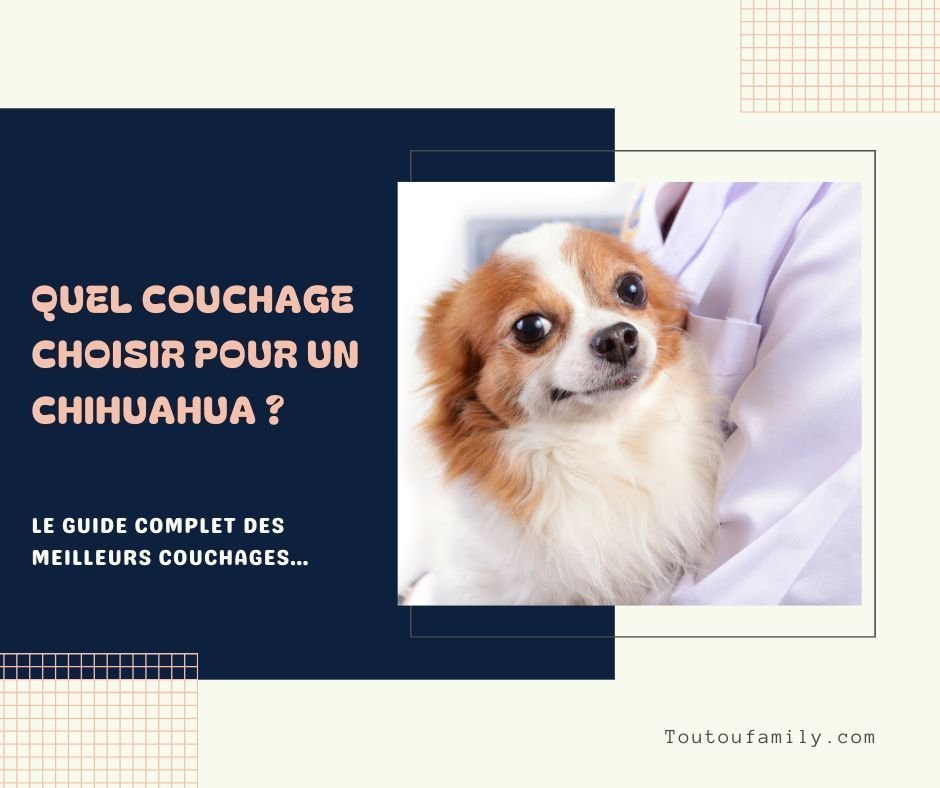 Panier pour chihuahua - Quel couchage pour un chihuahua ?