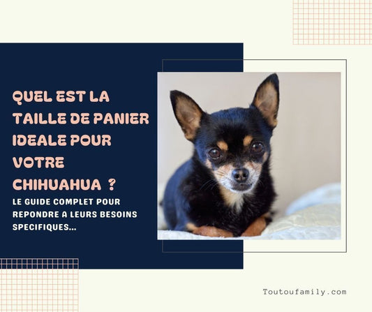 Panier pour chihuahua - Quelle est la taille de panier idéale pour un chihuahua ?