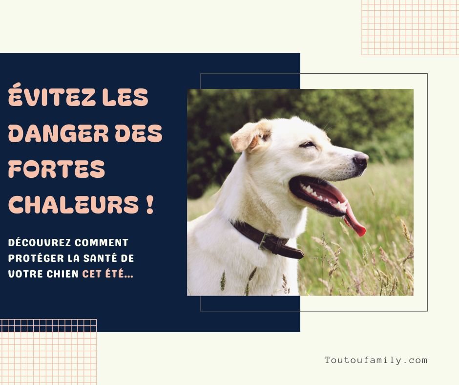 Tapis rafraichissant chien - Le guide des produits qui protège votre chien des dangers de l'été ! - Toutoufamily