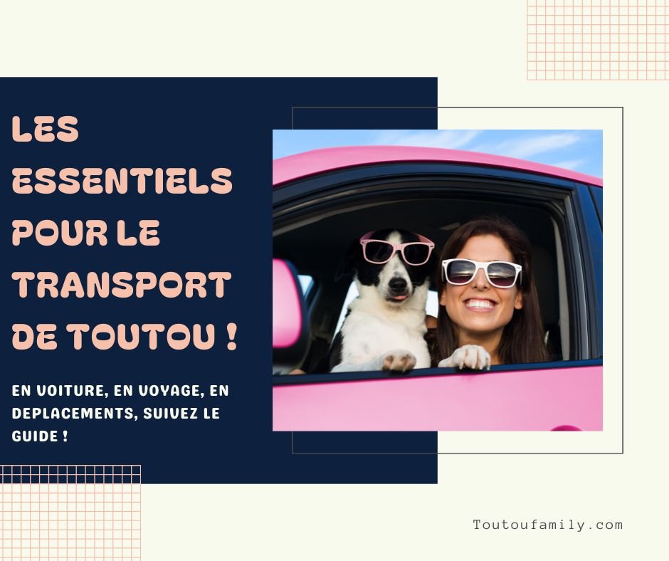 Transport chien - Les indispensables pour un voyage zen et organisé avec Toutou ! - Toutoufamily