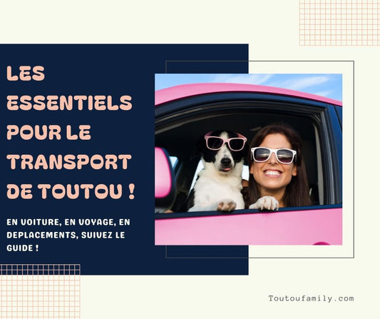 Transport chien - Les indispensables pour un voyage zen et organisé avec Toutou ! - Toutoufamily