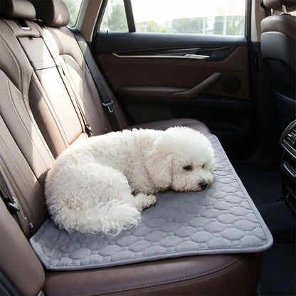 Alèse-lavable-chien-chiot-ultra-absorbant-gris, tapis confortable, surface anti poils et anti humidité, multi-couches 100% coton haute densité et son fond imperméable et antidérapant, disponible en 5 tailles : S, M, L et XL pour toute tailles et races de chiots et chien, multifonction, il protège efficacement sol, literie, meubles, voiture, caisse de transport et, réutilisable et durable, écologique-un chien de petite taille couché sur son alèse qui protège les sièges arrières en cuir de la voiture