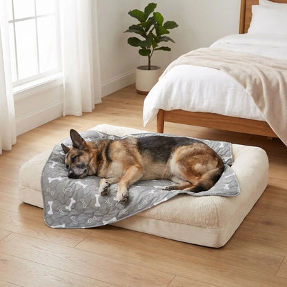 Alèse-lavable-chien-chiot-apprentissage-proprete-chien âgés, incontinent, 100% imperméable, lavable en machine, résistant aux griffes, durable, vendu en lot de deux, écoresponsable et écologique-un Berger allemand âgé qui dort couché sur le tapis absorbant gris avec imprimé os blanc sur son coussin rectangulaire dans la chambre de l'appartement