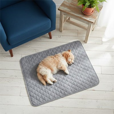 Alese-lavable-chien-chiot-lot-de-2-avec 4 couches ultra absorbantes 100% imperméable-tapis d'apprentissage de la propreté ou pour incontinence ou post opératoire-polyvalent comme protection canapé, lit, meuble, panier, siège de voiture, lavable en machine en deux tailles M et L pour tous les chiens-un chiot qui dort paisiblement sur le tapis absorbant gris sur le sol du salon