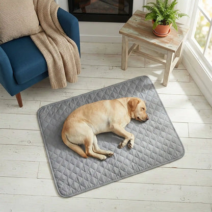 Alese-lavable-chien-chiot-lot-de-2-avec 4 couches ultra absorbantes 100% imperméable-tapis d'apprentissage de la propreté ou pour incontinence ou post opératoire-polyvalent comme protection canapé, lit, meuble, panier, siège de voiture, lavable en machine en deux tailles M et L pour tous les chiens-un grand chien qui dort sur le flanc de de tout son long paisiblement sur le tapis absorbant gris sur le sol de la chambre