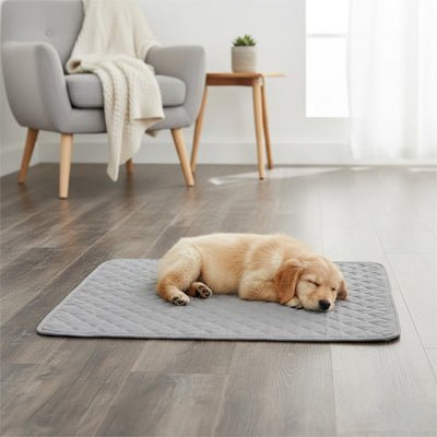 Alese-lavable-chien-chiot-lot-de-2-avec 4 couches ultra absorbantes 100% imperméable-tapis d'apprentissage de la propreté ou pour incontinence ou post opératoire-polyvalent comme protection canapé, lit, meuble, panier, siège de voiture, lavable en machine en deux tailles M et L pour tous les chiens-un chiot qui dort paisiblement sur le tapis absorbant gris sur le sol du salon
