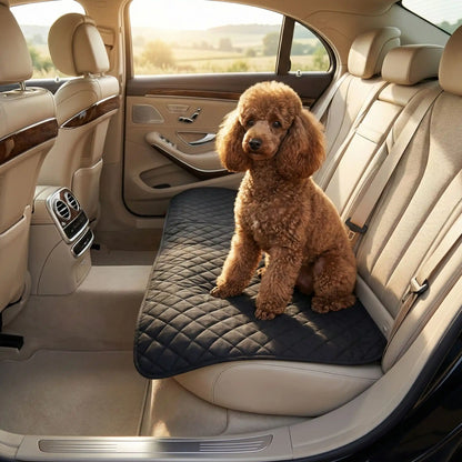 Alese-lavable-chien-chiot-lot-de-2-avec 4 couches ultra absorbantes 100% imperméable-tapis d'apprentissage de la propreté ou pour incontinence ou post opératoire-polyvalent comme protection canapé, lit, meuble, panier, siège de voiture, lavable en machine en deux tailles M et L pour tous les chiens-un petit chien frisé assis confortablement sur le tapis absorbant sur les sièges de la voiture protégée