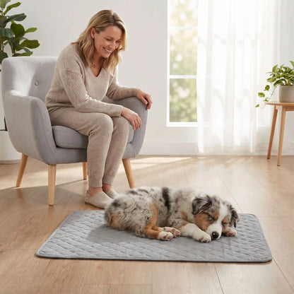 Alèse lavable chiot hygiène, imperméable, 4 couches absorbantes, surface douce qui reste toujours sèche résistante aux griffes et lavable en machine pour chiot de petite à grande taille,durable et polyvalent comme protection de la literie, couchage, sol, siège voiture, etc- un chiot de moyenne race qui dort paisiblement sur l'alèse douce et confortable de couleur grise sur le sol au pied de sa maitresse  qui le regarde avec amour assise dans son fauteuil dans le salon de l'appartement