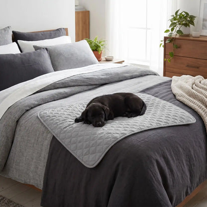 Alèse lavable chiot hygiène, imperméable, 4 couches absorbantes, surface douce qui reste toujours sèche résistante aux griffes et lavable en machine pour chiot de petite à grande taille,durable et polyvalent comme protection de la literie, couchage, sol, siège voiture, etc- un chiot qui dort paisiblement sur l'alèse douce et confortable de couleur grise sur le lit de sa maitresse comme protège-lit dans la chambre lifestyle de la maison