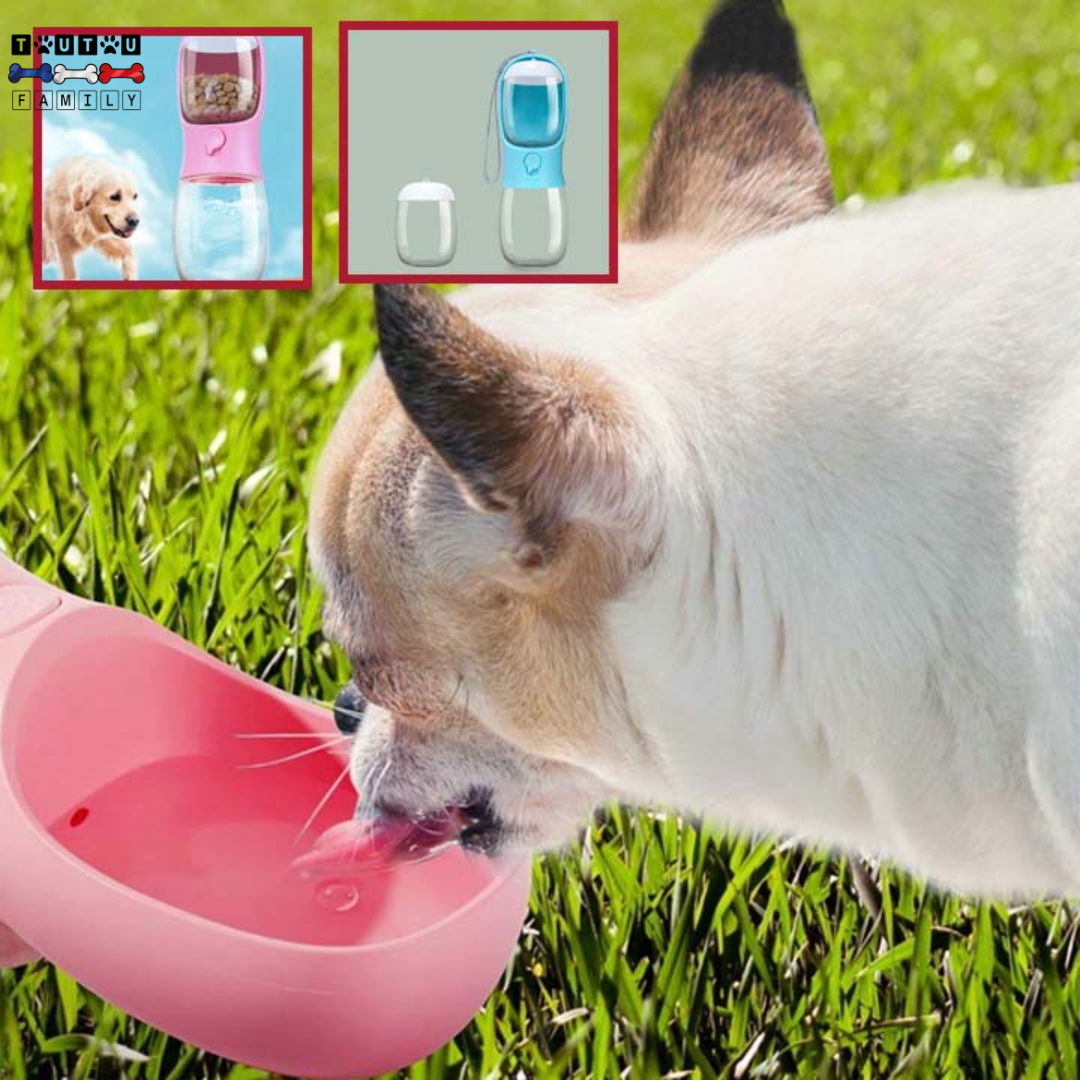 Bouteille d'eau pour chien - DistribToutou™