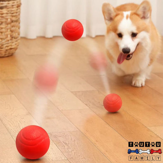 Balle-chien-solide-de-diametre-5-cm-6-cm-et-7-cm-pour-tout-type-de-chien-balle-rebondissante-pour-toutes-tailles-de-chien-un-corgi-welsh-qui-court-derrière-la-balle-qui-rebondit-partout
