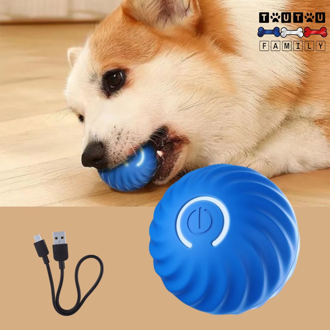Balle-interactive-pour-chien-avec-câble-USB-bleu-rechargeable-avec-revêtement-en-caoutchouc-jouet-d-occupation-chien-lumineuse-vibrante-rebondissante-balle-qui-roule-toute-seule-un-chien-qui-mort-dans-la-balle-solide