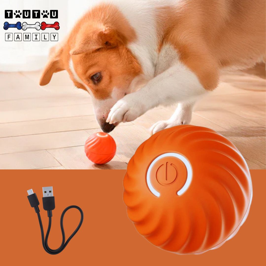 Balle-interactive-pour-chien-avec-câble-USB-orange-un-chien-qui-joue-a-attraper-la-balle-qui-bouge-toute-seule-avec-sa-patte-jouet-interactif-pour-chien