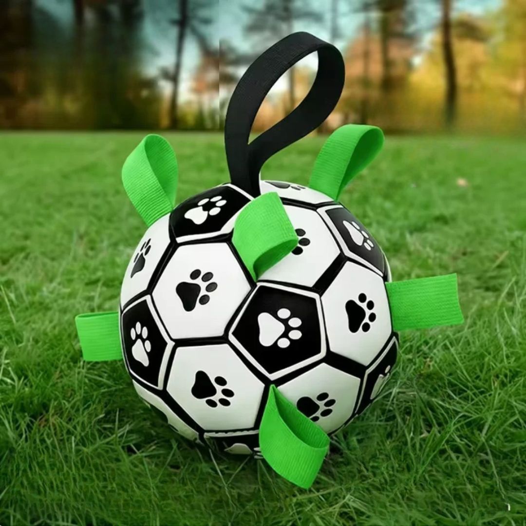 Balle-pour-chien-de-foot-chiot-avec-sangles en nylon robuste pour une meilleur préhension, gonflable avec pompe fournie, TPU sans danger, rembourrage caoutchouc naturel et coutures solides en coton, écoresponsable et sans danger, ballon rebondissant et flottant de 15 cm de diamètre idéal pour les chiots et chien de petite à moyenne taille- gros plan sur le ballon de foot avec sangles nylon , matériaux naturel résistant et sans danger pour le chiot et le chien, écoresponsable sur la pelouse verte du jardin 