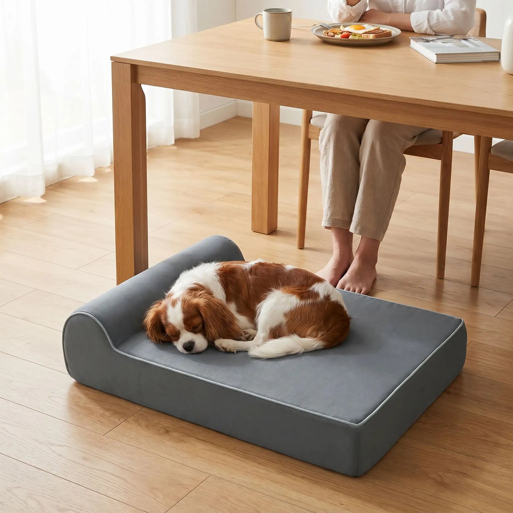 Banquette-chien-chiot orthopédique rectangulaire avec matelas et oreiller intégré, déhoussable et lavabale en machine à laver, antidérapant, 100% imperméable, housse en tissu ultra-douce crystal, matelas et oreiller à mémoire de forme haute densité et résilience, longueur de 100 cm et 20 cm d'épaisseur pour chien et chiot de moyenne à grande taille jusqu'à 45 kg-un cavalier king charles qui dort paisiblement en boule sur sa banquette  au pied de sa maitresse qui déjeune dans le salon de la maison 