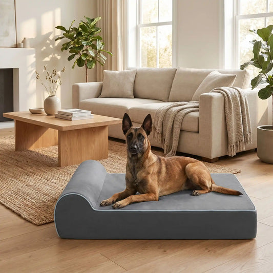 Banquette-chien-chiot orthopédique rectangulaire avec matelas et oreiller intégré, déhoussable et lavabale en machine à laver, antidérapant, 100% imperméable, housse en tissu ultra-douce crystal, matelas et oreiller à mémoire de forme haute densité et résilience, longueur de 100 cm et 20 cm d'épaisseur pour chien et chiot de moyenne à grande taille jusqu'à 45 kg-un grand chien couché confortablement sur la banquette pour chien de couleur gris foncé dans le salon de la maison