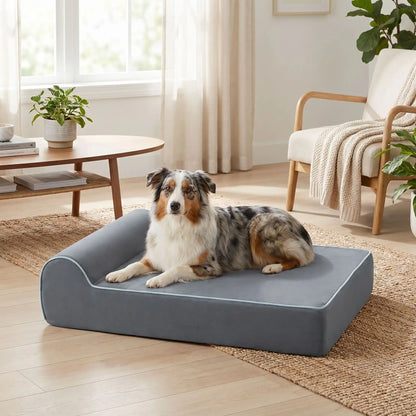 Banquette-chien-chiot orthopédique rectangulaire avec matelas et oreiller intégré, déhoussable et lavabale en machine à laver, antidérapant, 100% imperméable, housse en tissu ultra-douce crystal, matelas et oreiller à mémoire de forme haute densité et résilience, longueur de 100 cm et 20 cm d'épaisseur pour chien et chiot de moyenne à grande taille jusqu'à 45 kg-un chien de race moyenne couché confortablement sur sa banquette lit canapé de couleur gris dans le salon de la maison
